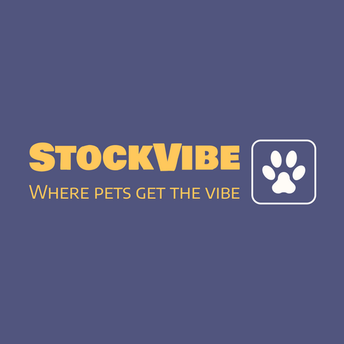 StockVibe